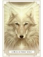White Light Pocket Oracle by Alana Fairchild and Andrew Gonzalez